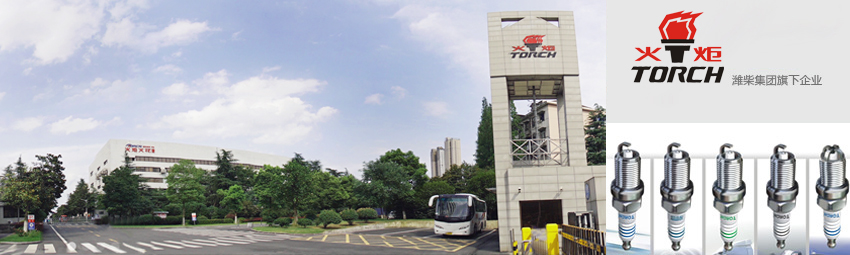 必赢·网络游戏平台-(中国游)有限公司