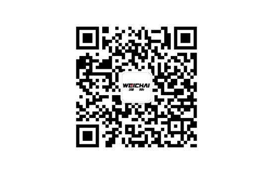 必赢·网络游戏平台-(中国游)有限公司